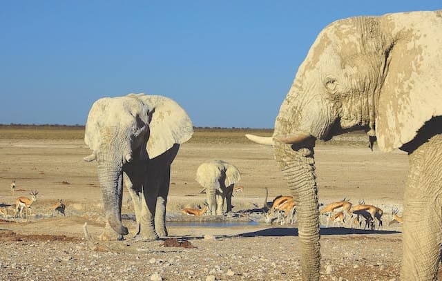 纳米比亚 Namibia
