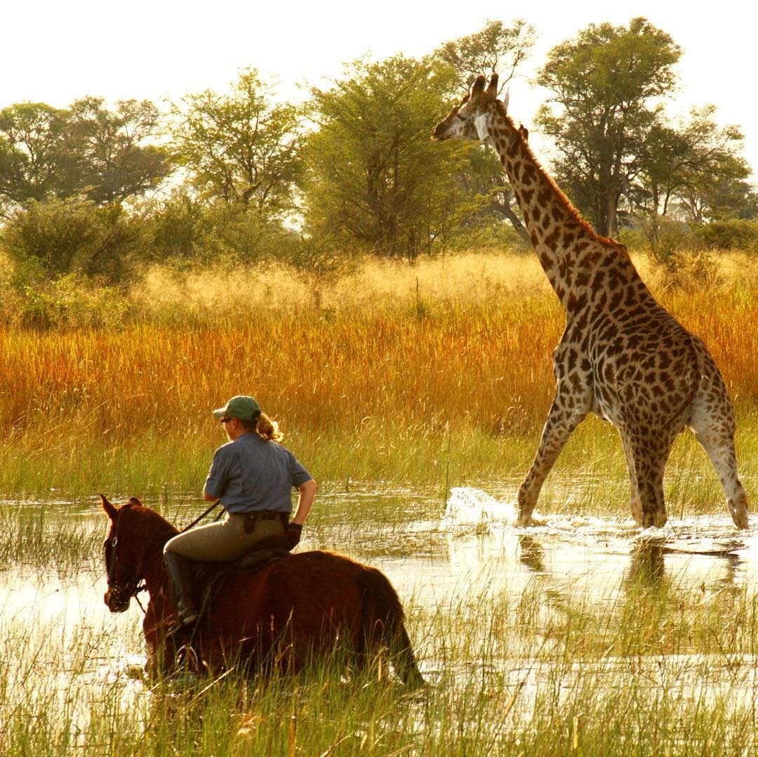 博茨瓦纳 Botswana