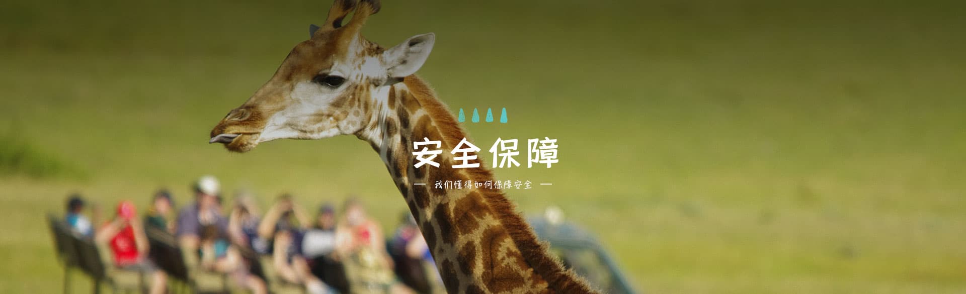 心野非洲 · 安全保障