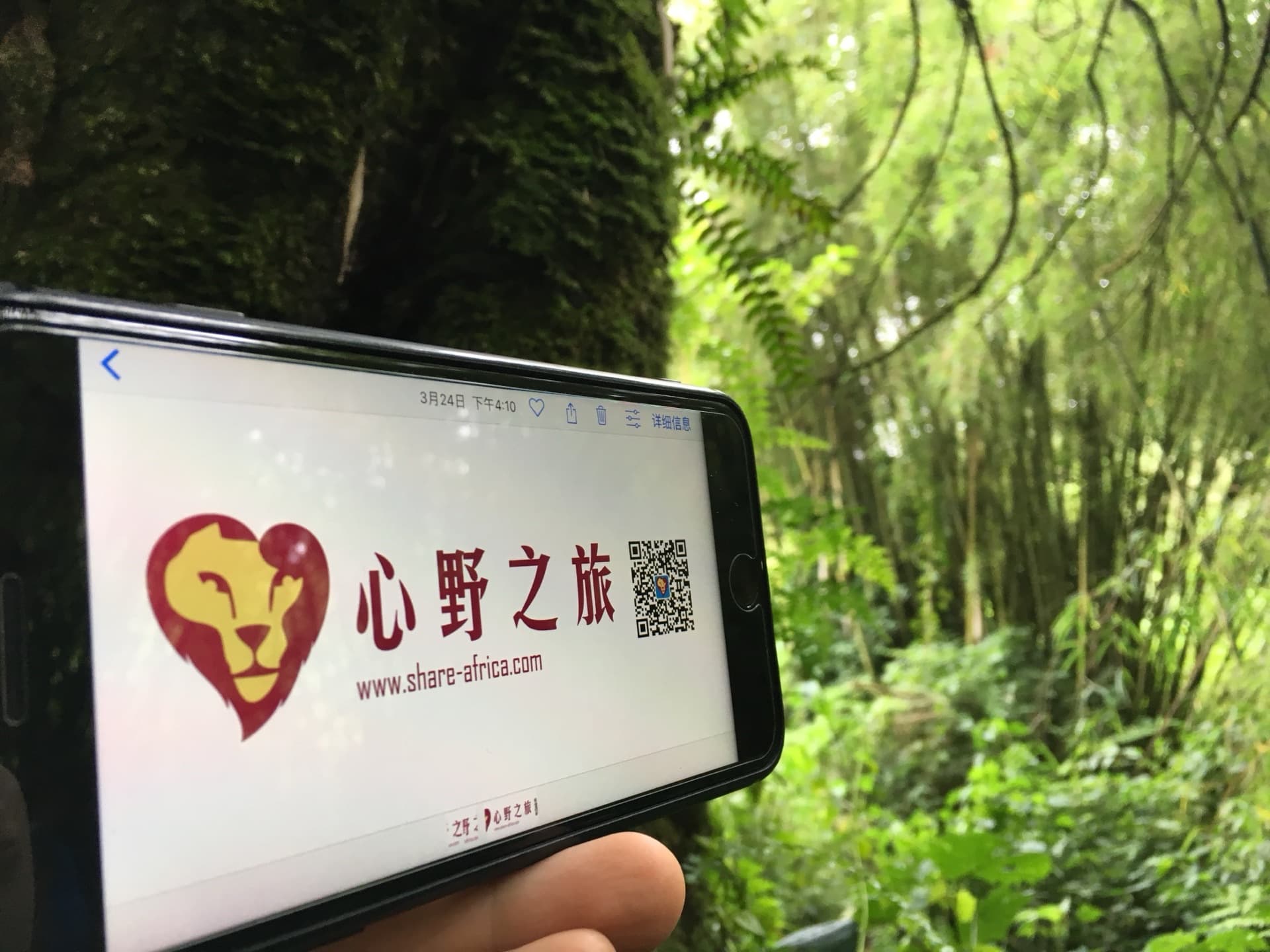 女生们不一样的旅行