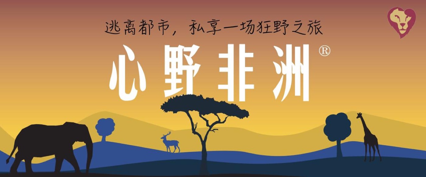 心野非洲