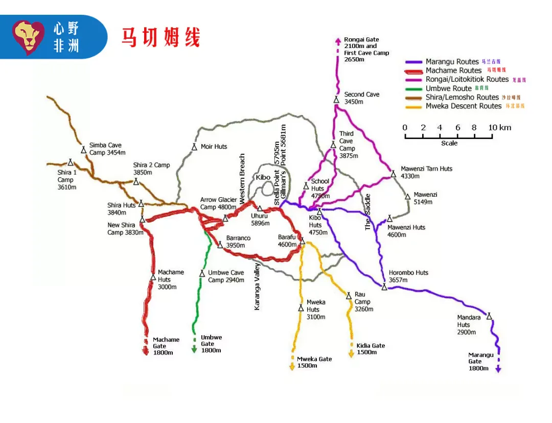 配图 12