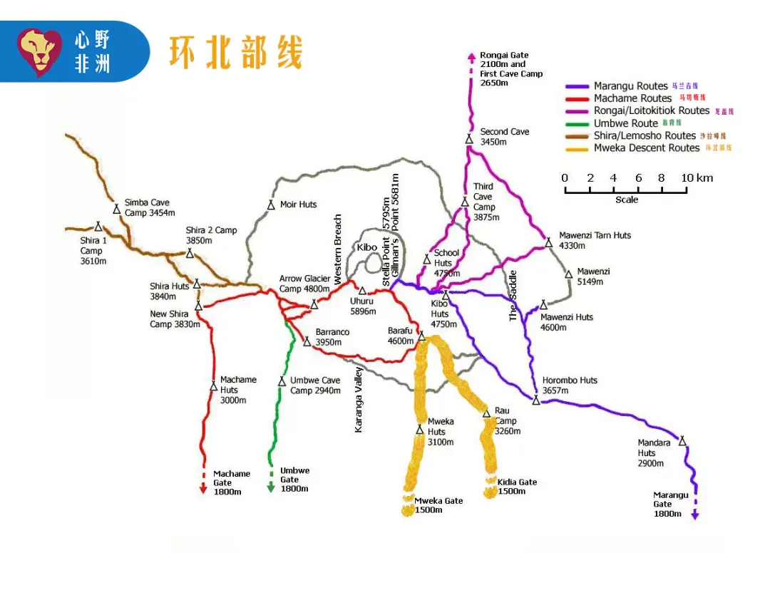 配图 36