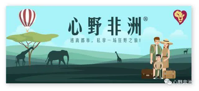 挥杆非洲,来一场高尔夫的狂欢