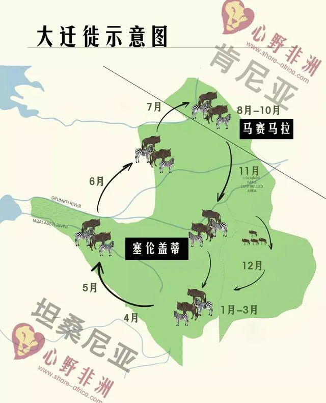 配图 3