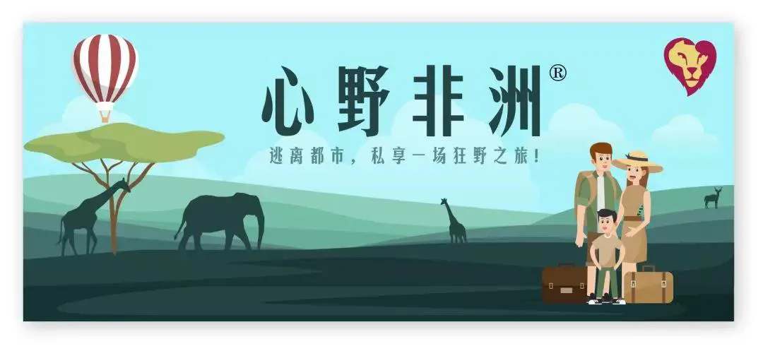 【心野非洲】什么？原来一年365天，都有动物大迁徙！