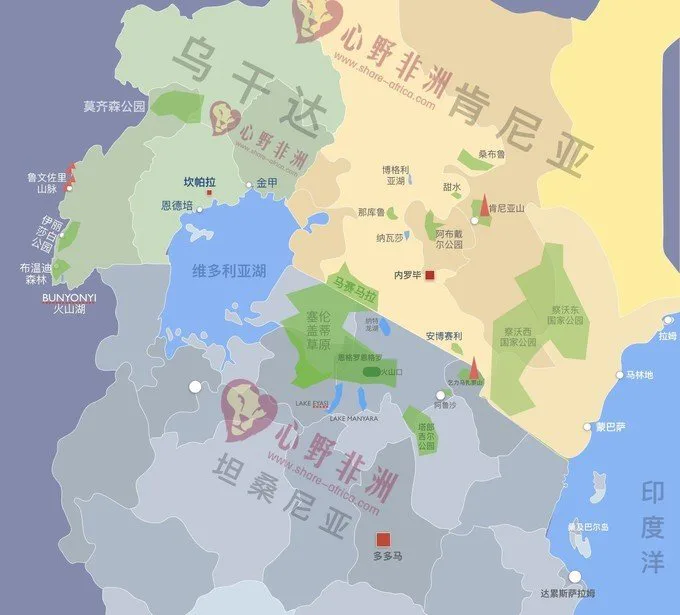 配图 8