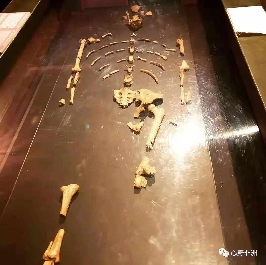 配图 9