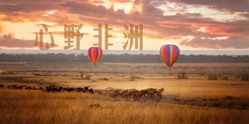 今年错过的非洲,未来相伴浪漫