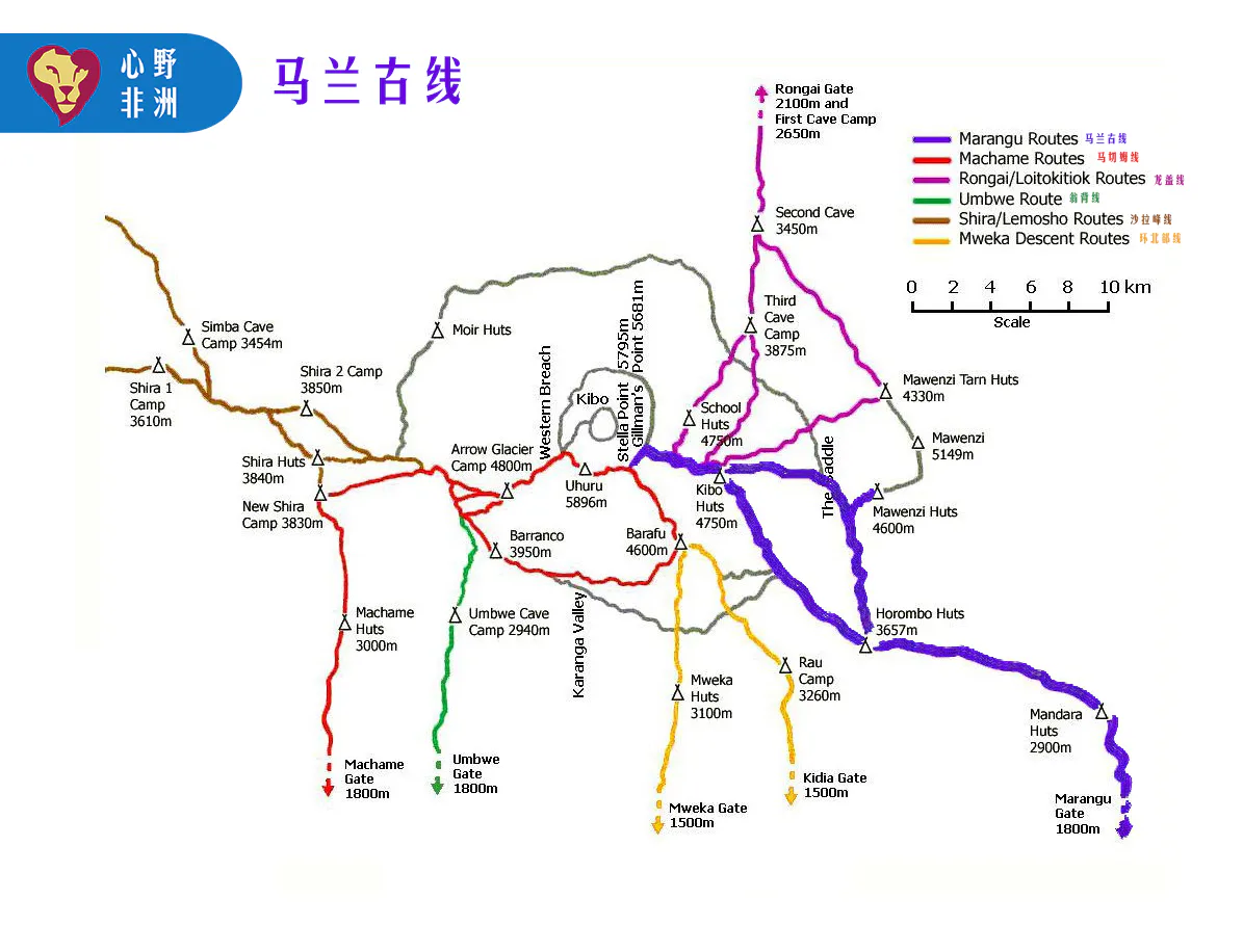 配图 6