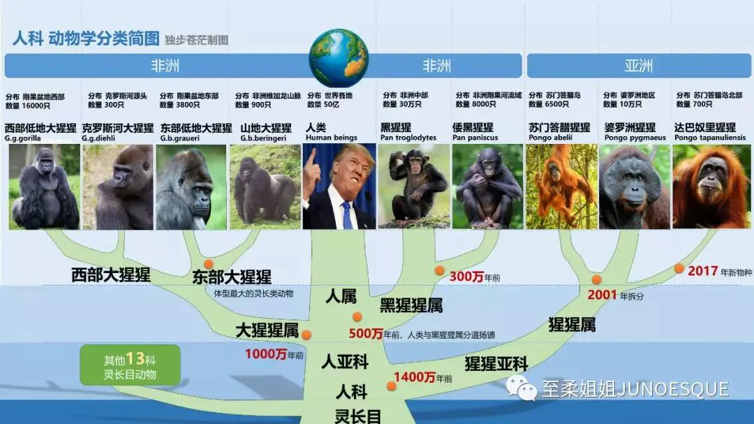 配图 5