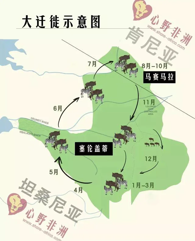 配图 4